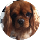 Pia Gustafsson profile picture