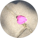 Margareta Pålsson profile picture